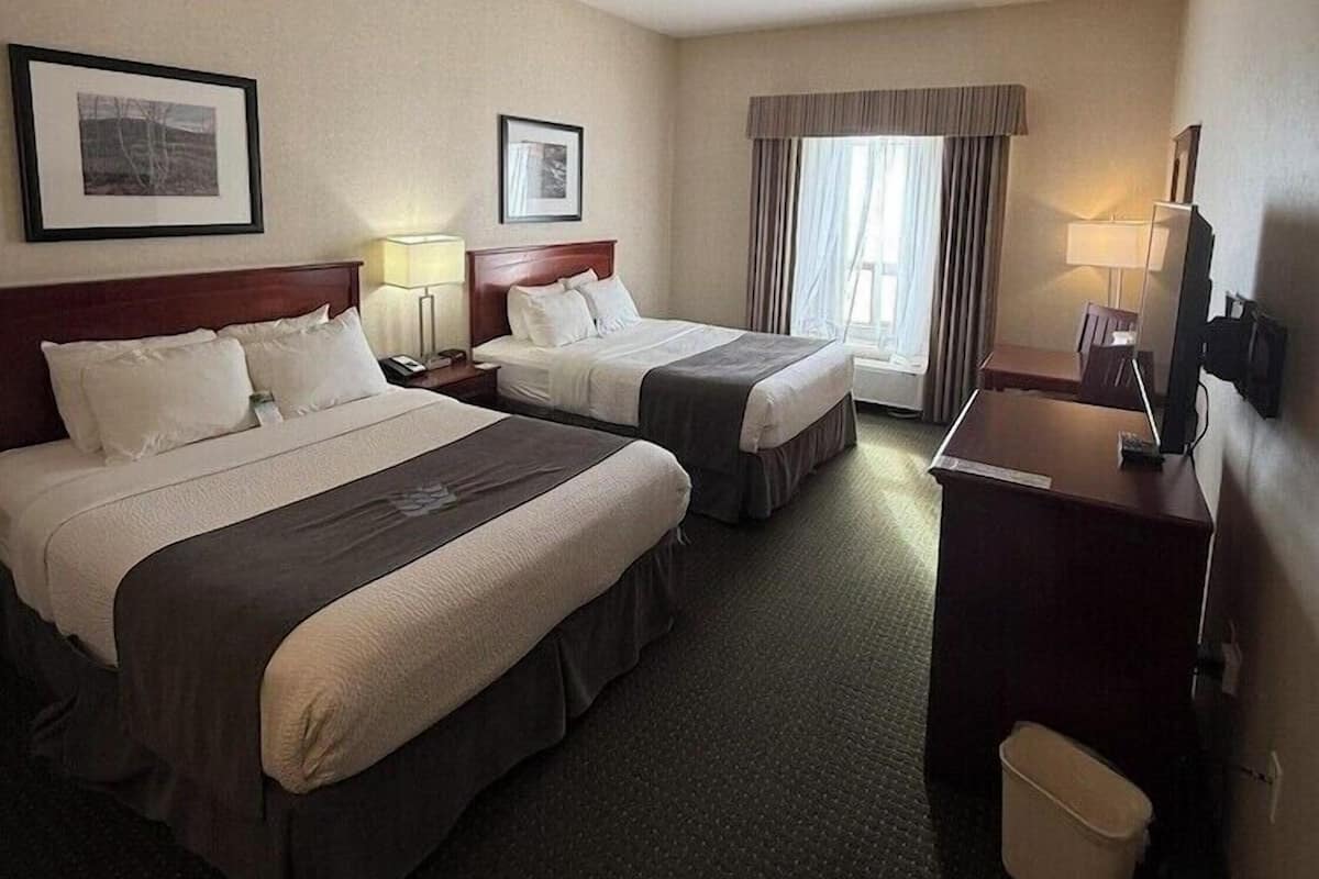 Iron/ironing board, free WiFi, bed sheets, wheelchair access