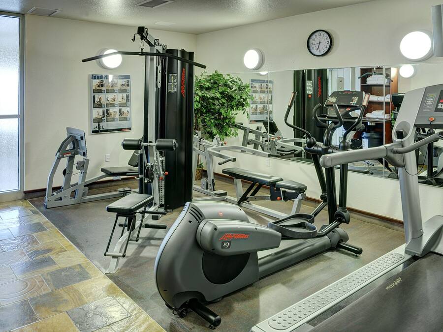 Un gimnasio con máquinas de cardio, máquinas de pesas y un espejo.