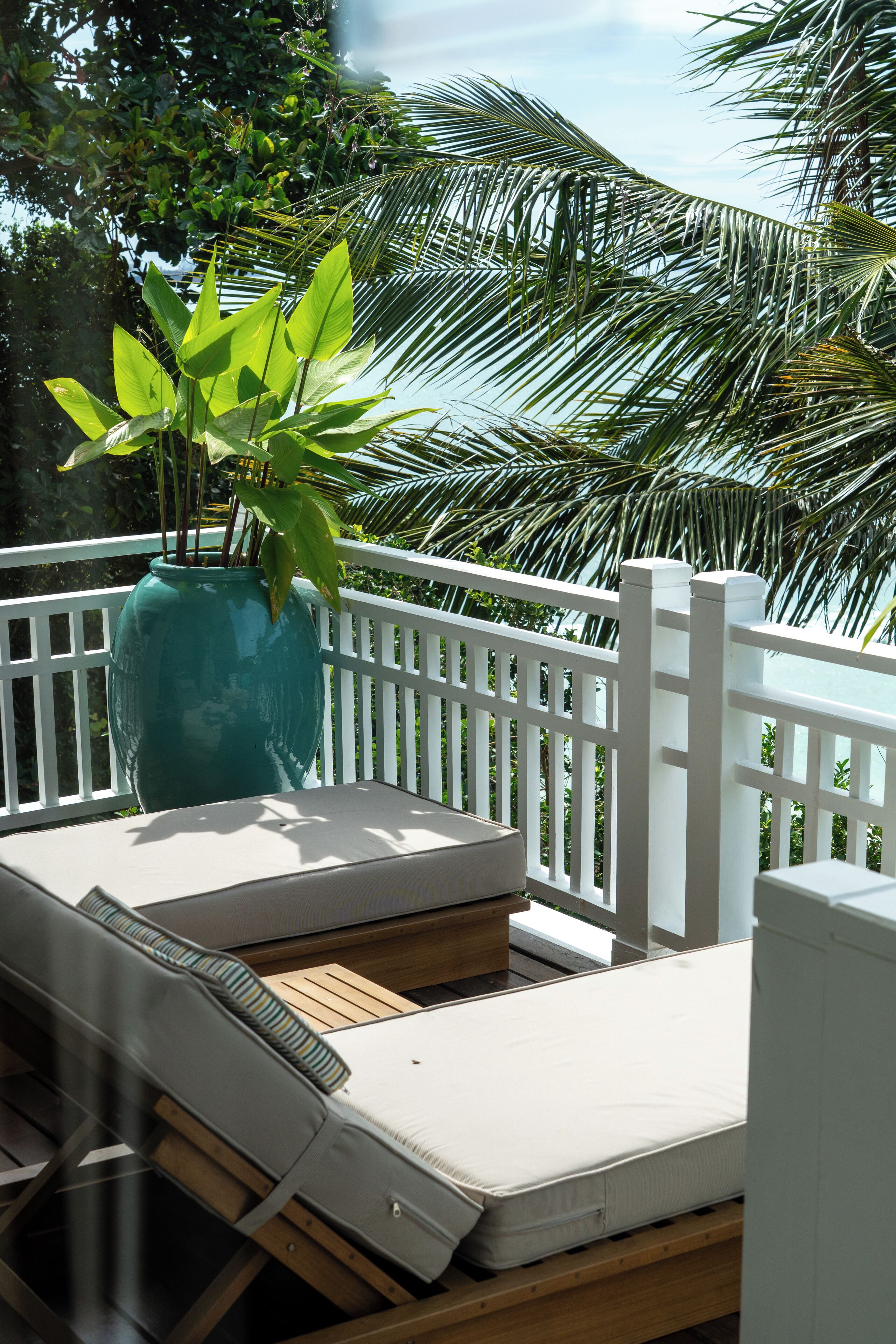 A balcony with a white railing, a wooden bench, and a large green plant in a vase.