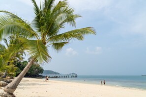 Private beach, white sand, free beach shuttle, sun loungers
