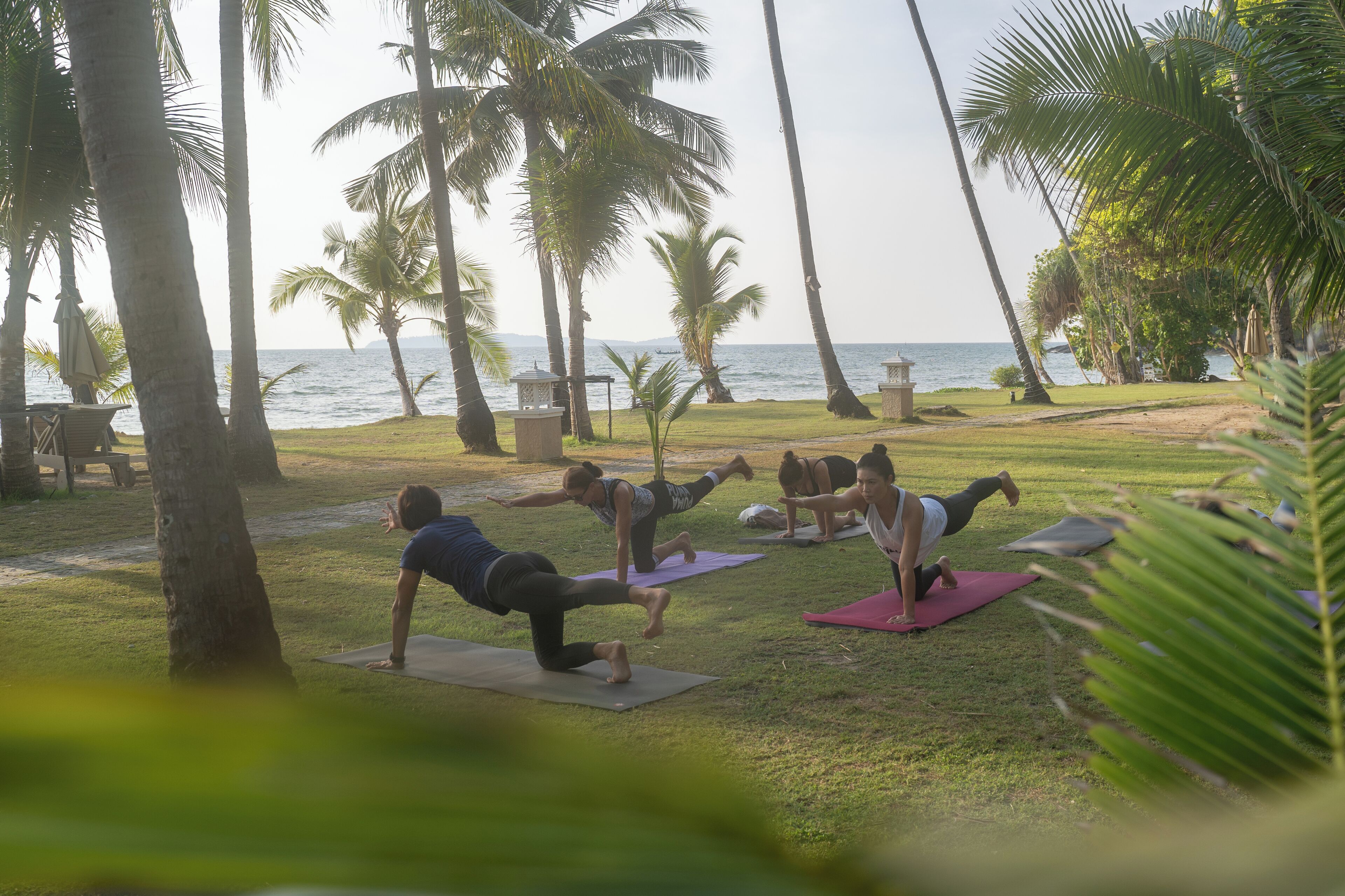A group of people doing yoga on mats in a grassy area with palm trees and a view of the ocean.