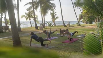 A group of people doing yoga on mats in a grassy area with palm trees and a view of the ocean.
