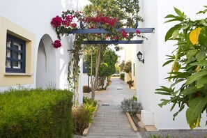 Monolocale Superior (Inland View) | Vista giardino