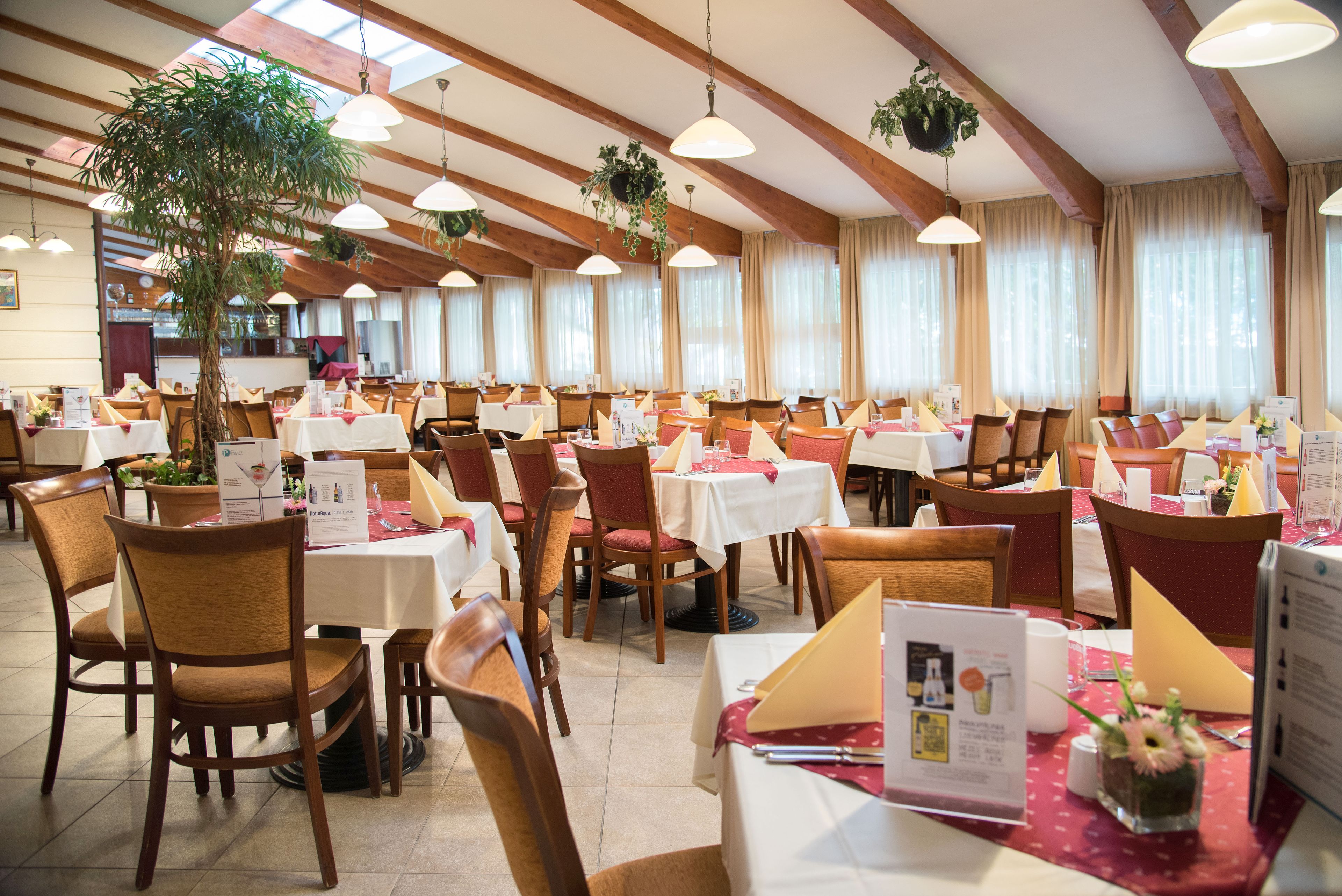 En restaurant med flere borde og stole, træbjælker i loftet, hængende planter og store vinduer med gardiner.