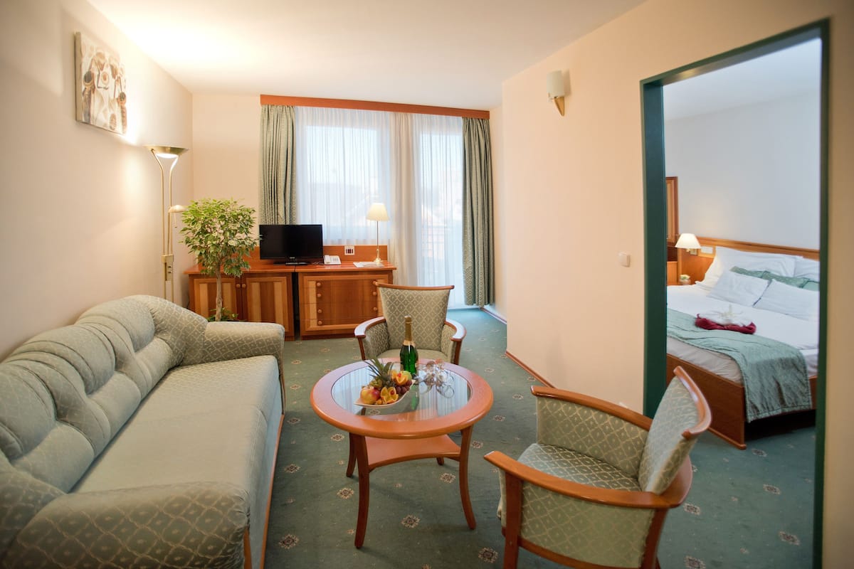 Family Apartment | In-room safe, desk, iron/ironing board (on request), WiFi (free)