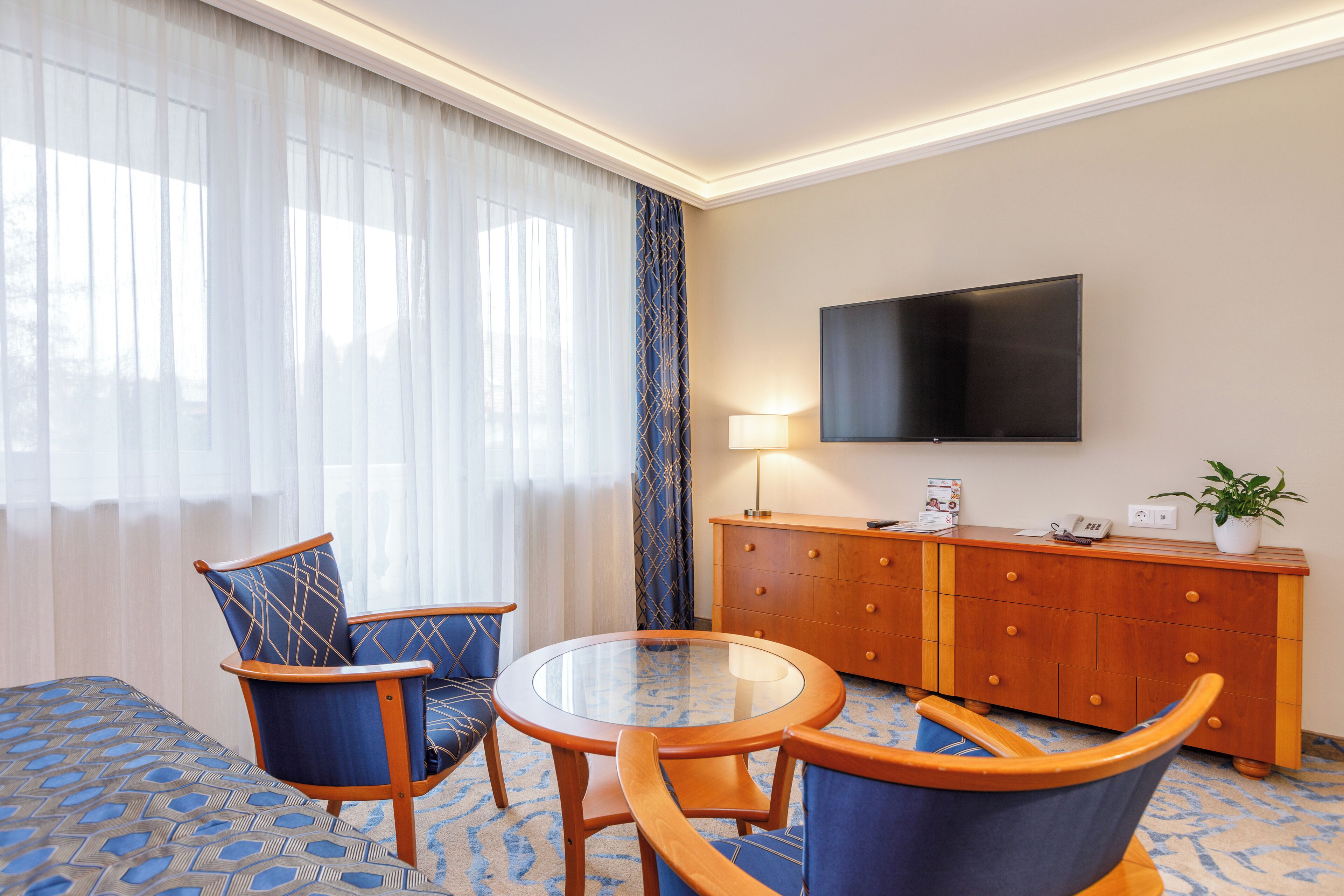 superior room (pets are not allowed) | in-room safe, desk, iron/ironing board, free wifi