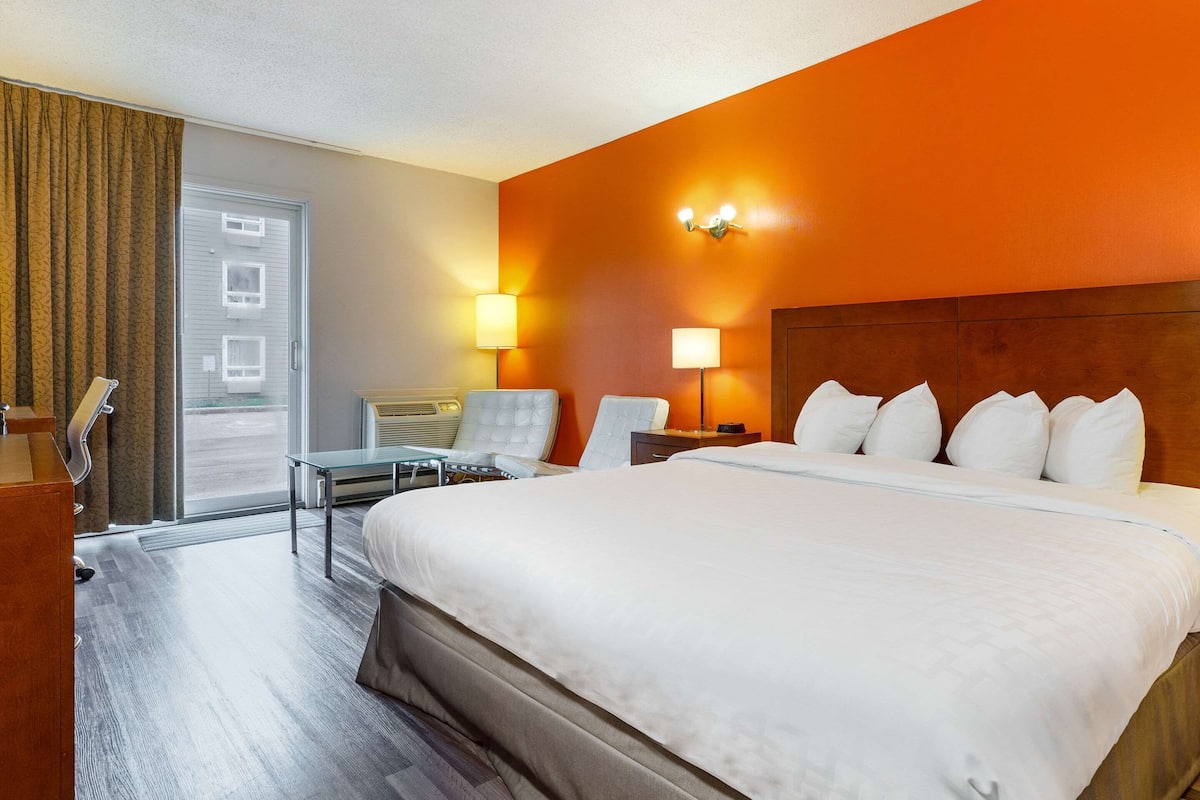 Standard Room, 1 King Bed, Non Smoking