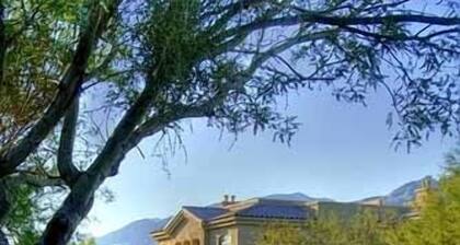 Casitas at Sabino Springs