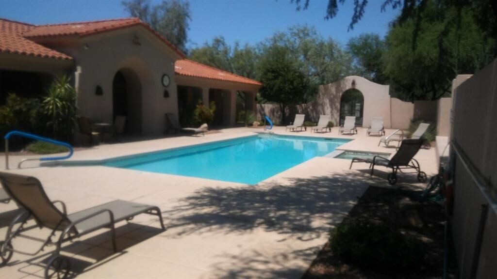 outdoor pool, pool loungers