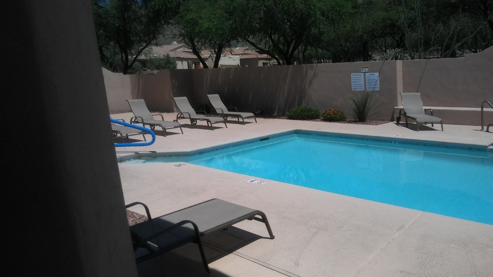 outdoor pool, pool loungers