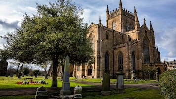 A historic church with a large tree in the foreground and a cemetery in the background.