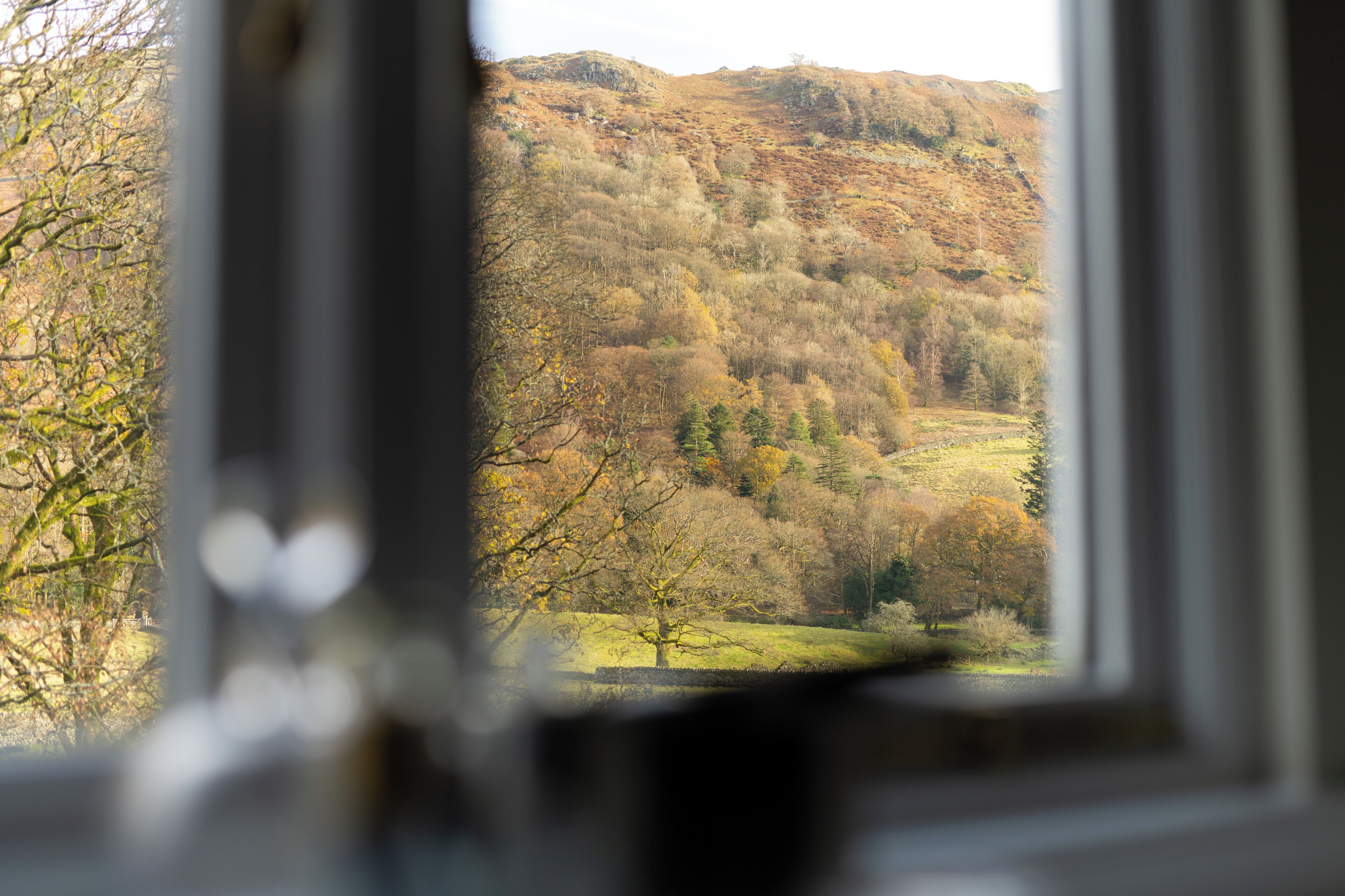 A window view of a hilly landscape with trees and a grassy field.