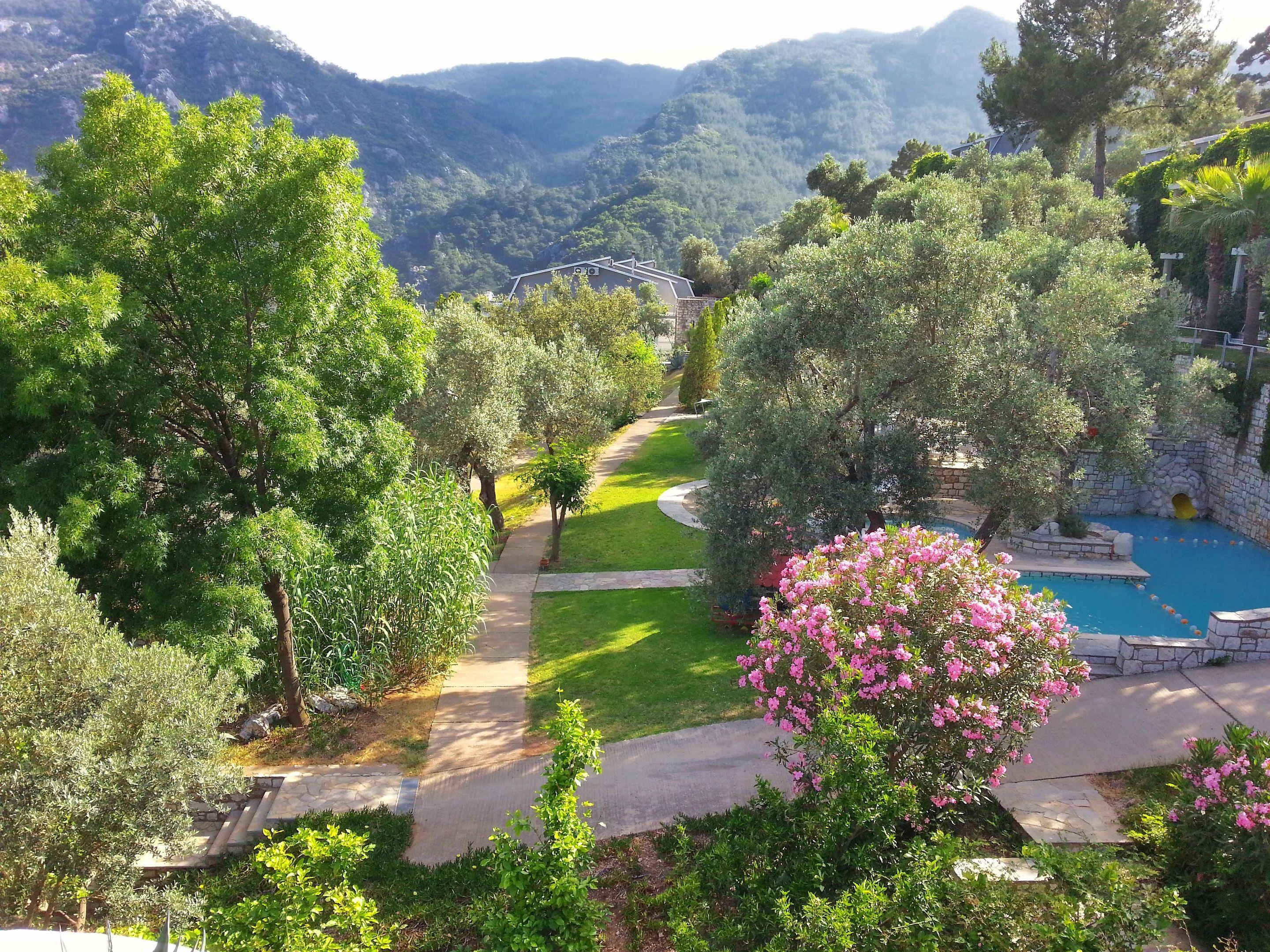 A garden with a pool and a pathway leading to a building.