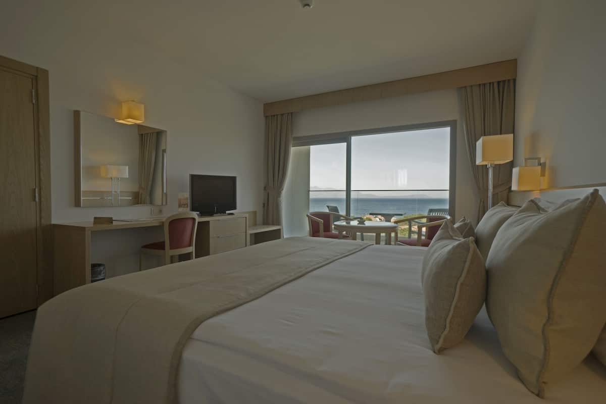 Camera Standard con letto matrimoniale o 2 letti singoli, balcone, vista mare parziale | 1 camera, minibar, una cassaforte in camera, una scrivania