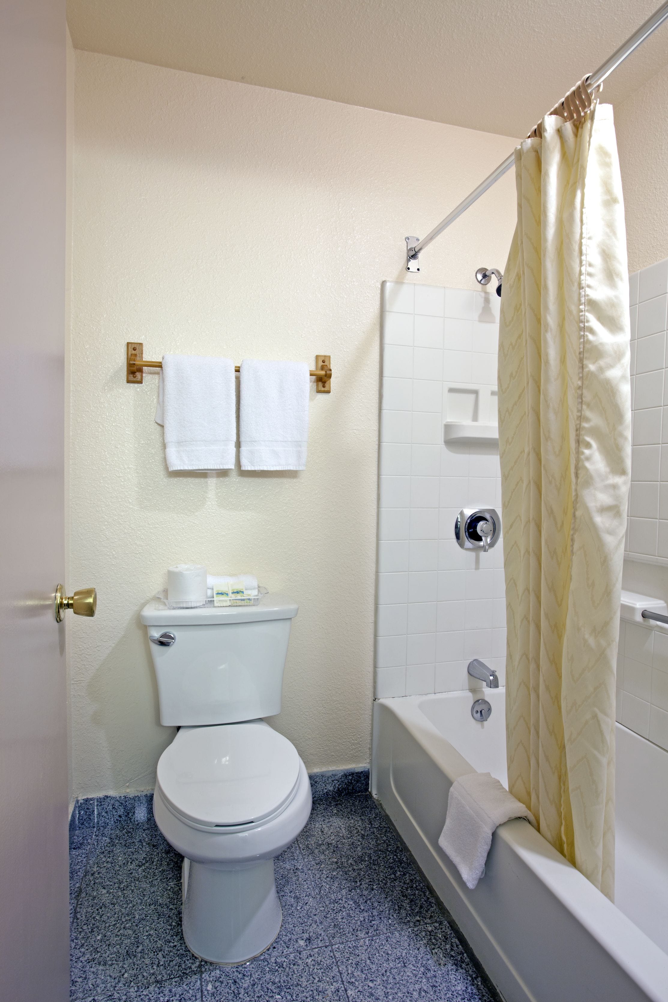 Een badkamer met toilet, bad en douchegordijn.