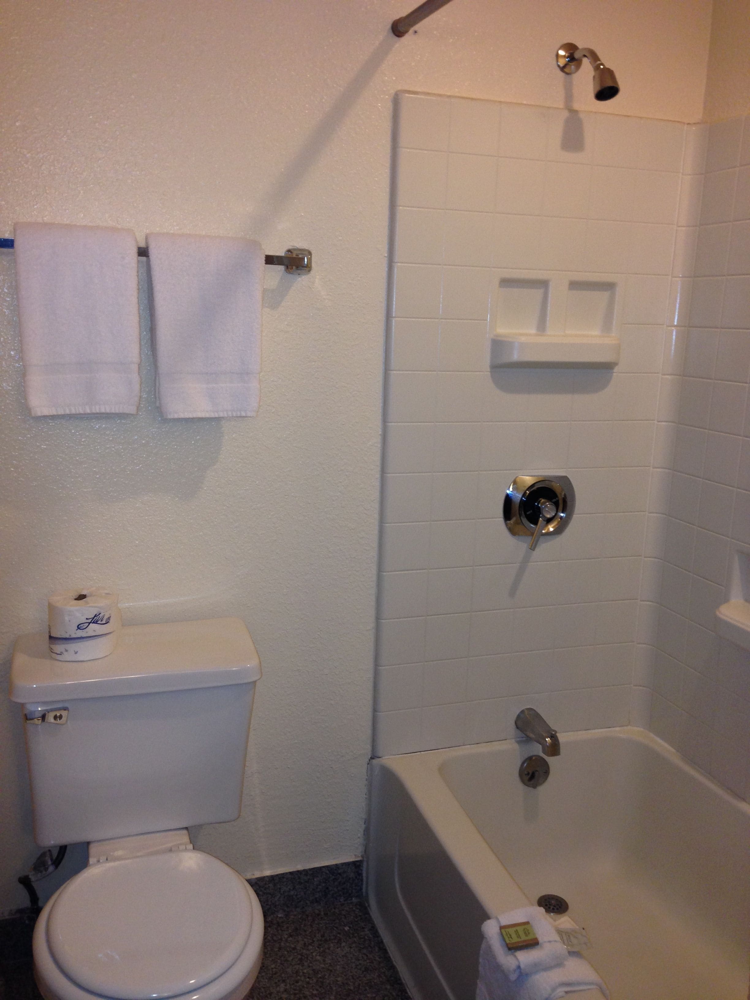 A bathroom with a toilet, a shower, and a sink.