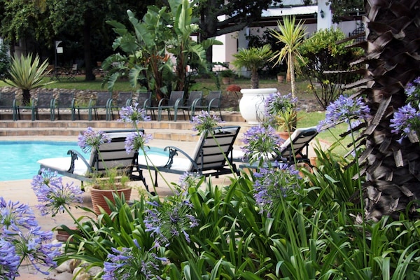 Außenpool, Sonnenschirme, Liegestühle