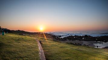 A coastal path leading to the ocean with a sunset in the background.