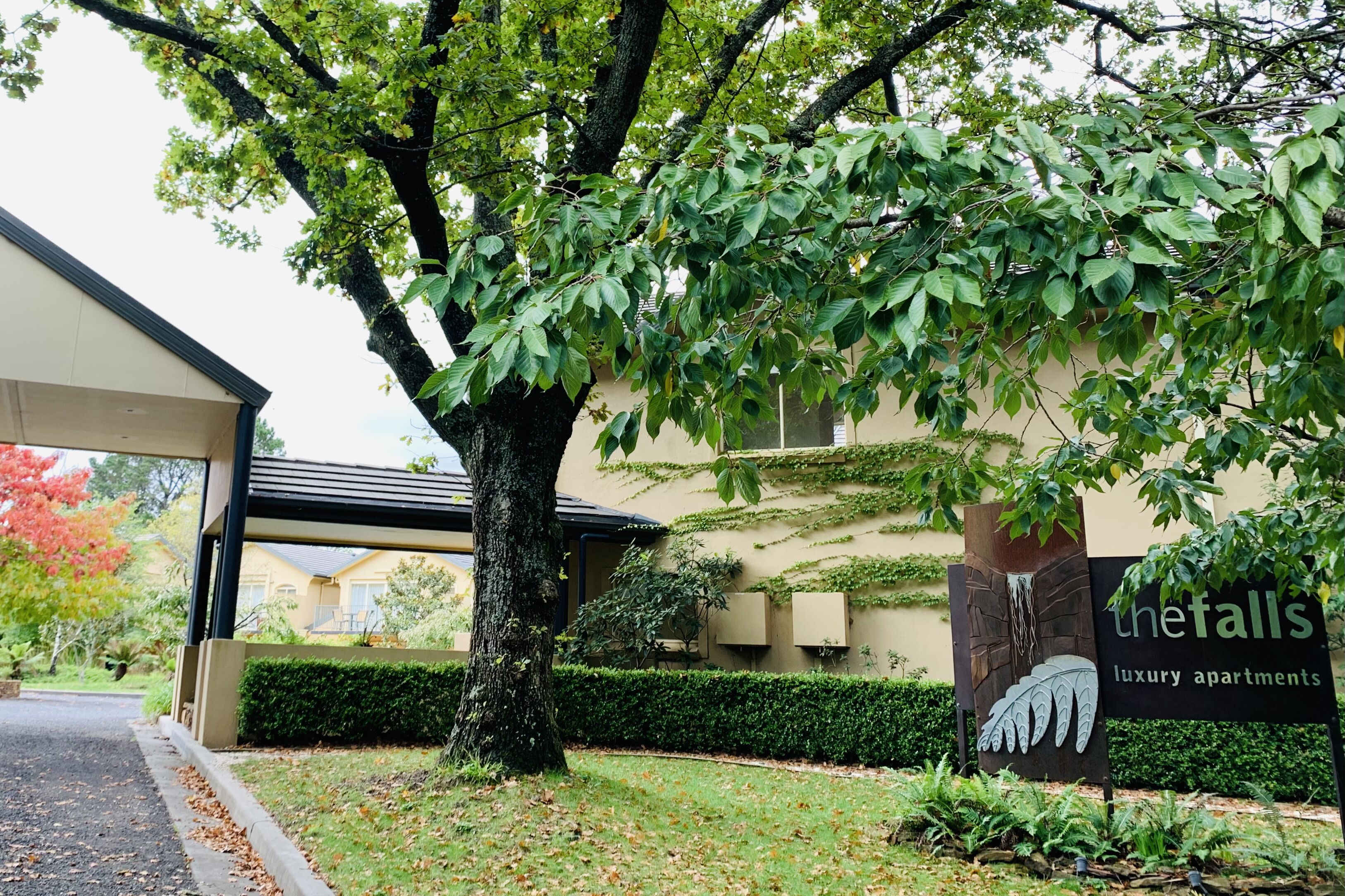 A sign for 'The Falls luxury apartments' with a large tree and a building in the background.