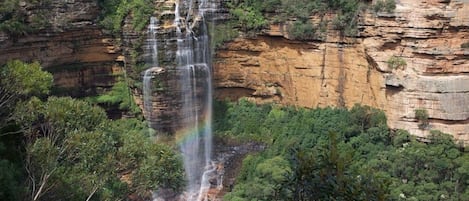A waterfall cascading down a rocky cliff surrounded by dense greenery.