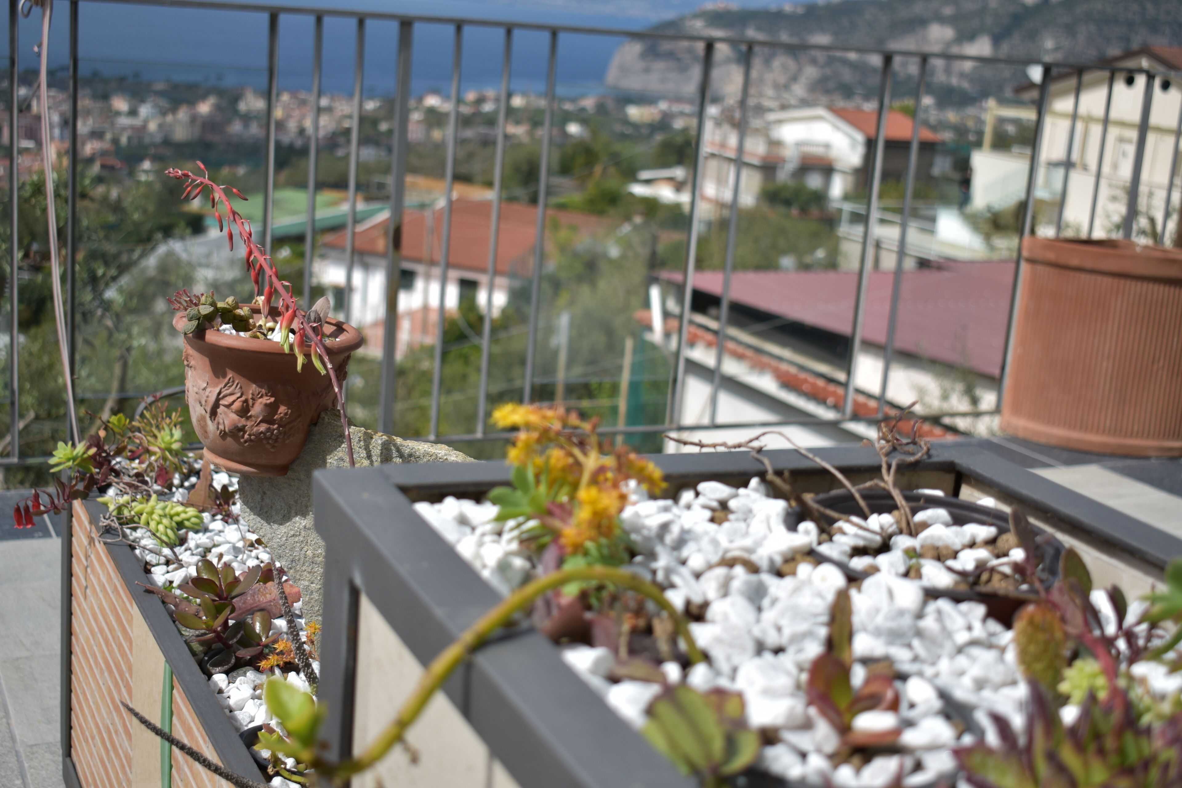 A balcony with a potted plant and a small garden bed with various plants and rocks.