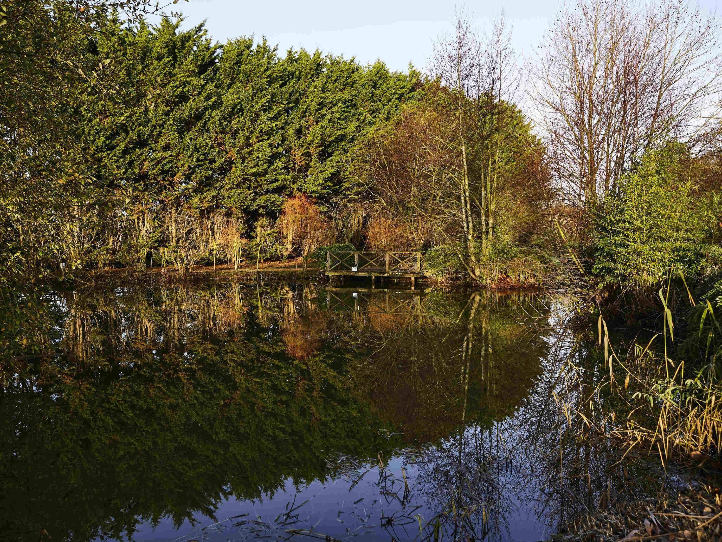 Photo - Mercure Newbury West Grange Hotel