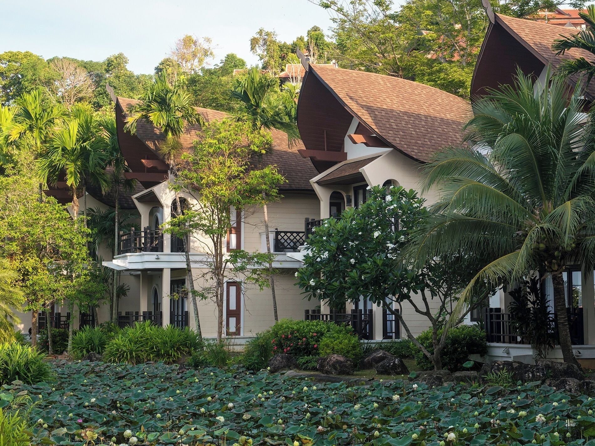 tropical room | view from room
