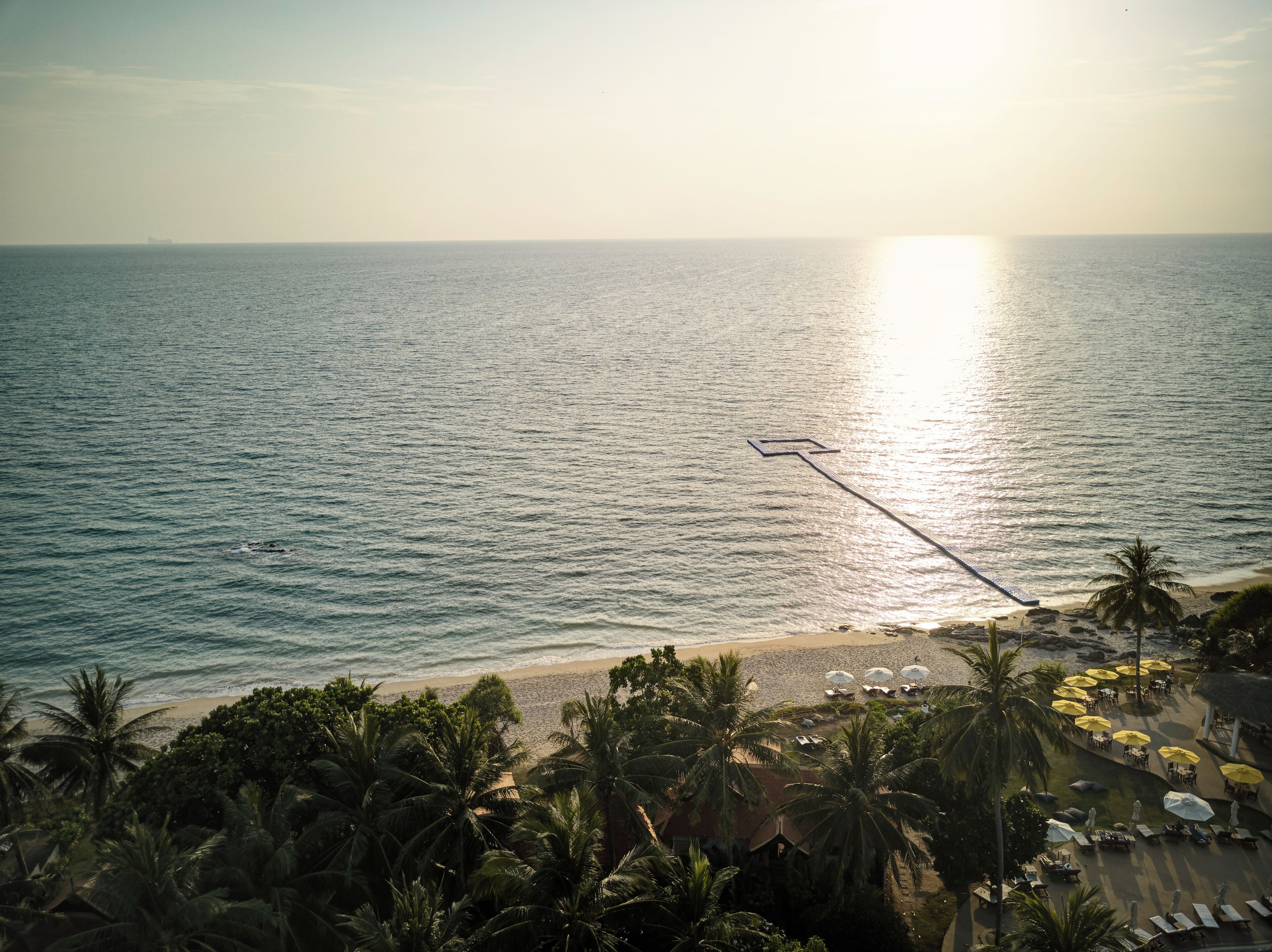 A beach with a palm tree-lined promenade, a sunlit ocean view, and a row of beach umbrellas.