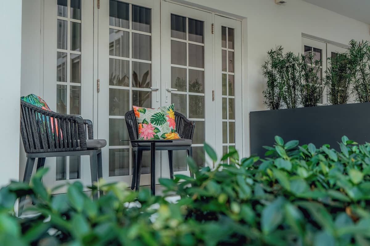 A seating area with two chairs and a table, a large window with multiple panes, and a potted plant.