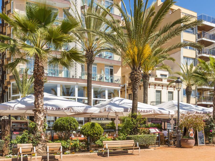 A beachfront hotel with outdoor seating and palm trees.