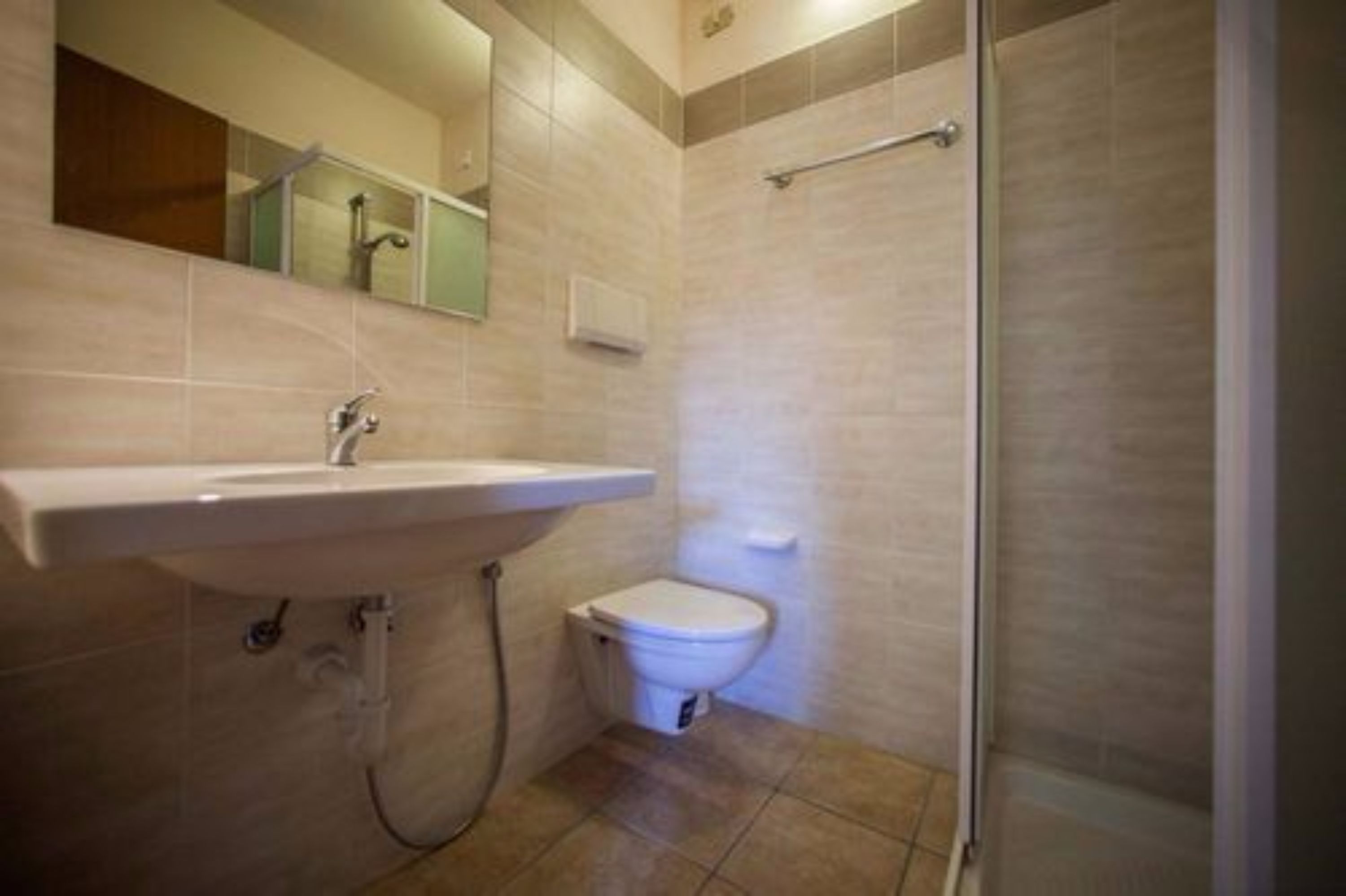 Une salle de bain avec un lavabo, des toilettes et une douche.