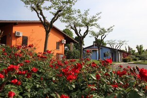 Un quartiere residenziale con case arancioni e blu, circondato da rigogliosa vegetazione e rose rosse.