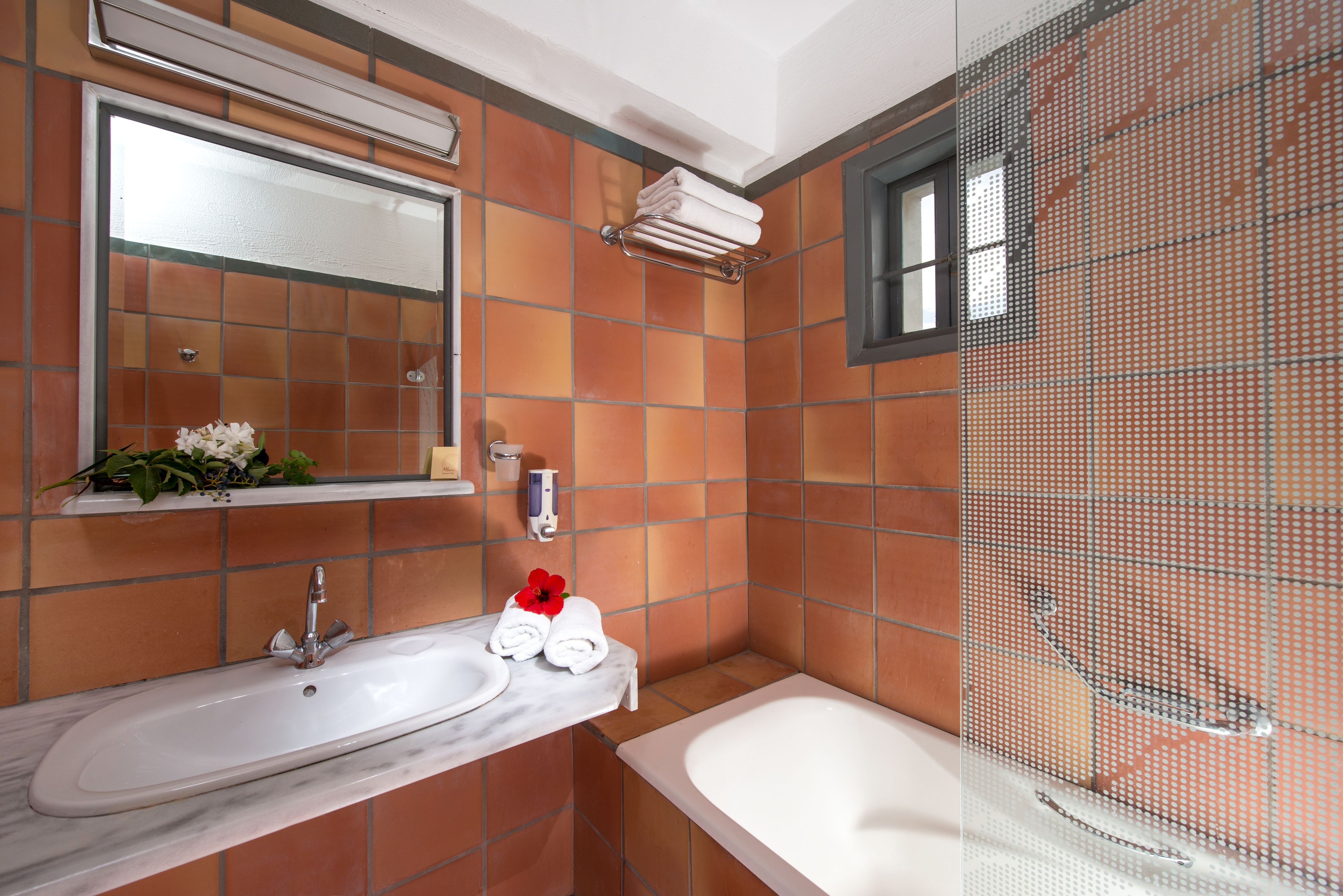 free toiletries, hair dryer, towels