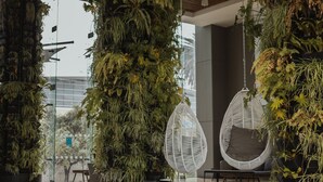 A lobby with vertical gardens, hanging chairs, and a glass entrance. - DoubleTree by Hilton Hotel Mexico City Santa Fe (Mexico City)