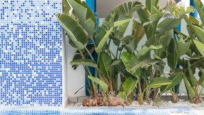 A swimming pool with blue mosaic tiles, surrounded by large green plants and a blue and white tiled wall. - Hotel RH Riviera -  Recommended for Adults By Hoteles RH (Gandia)