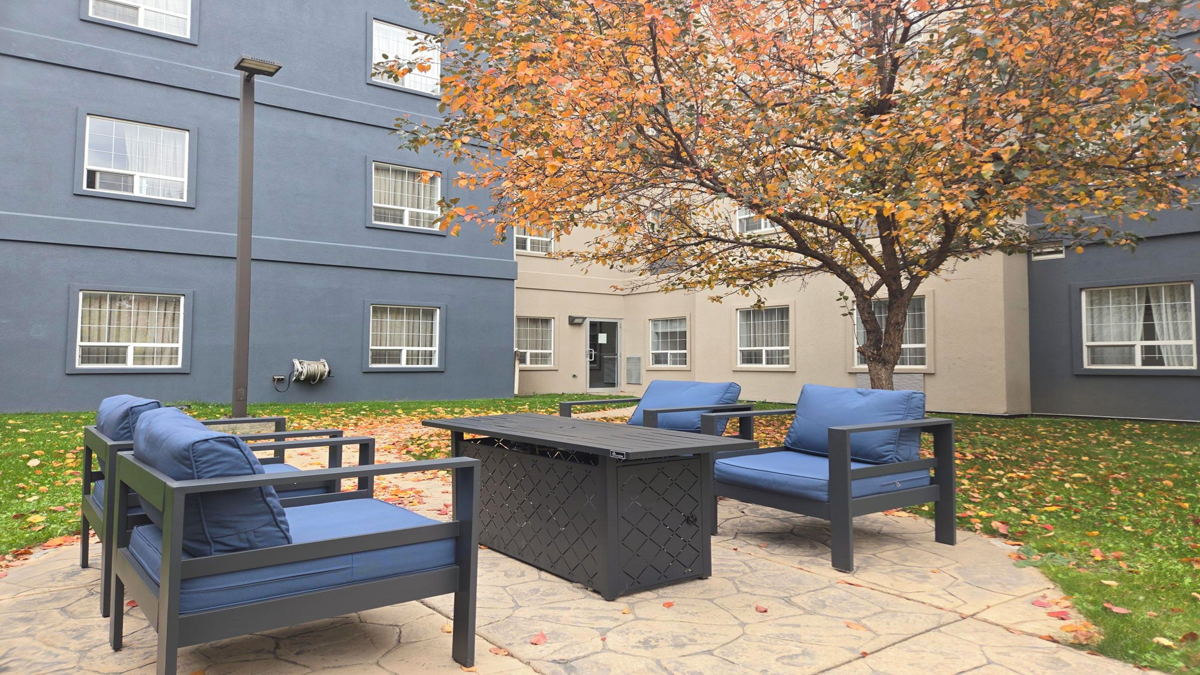 A courtyard with outdoor seating, a tree, and a building with multiple windows.