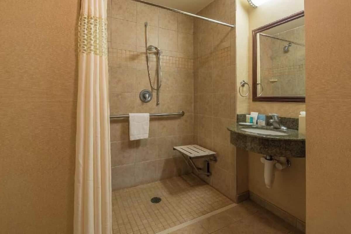 Bathroom | Combined shower/tub, free toiletries, hair dryer, towels
