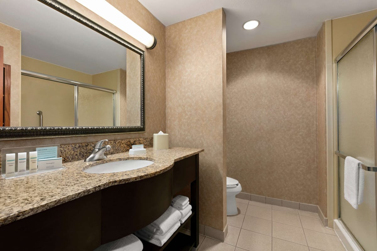 free toiletries, hair dryer, towels
