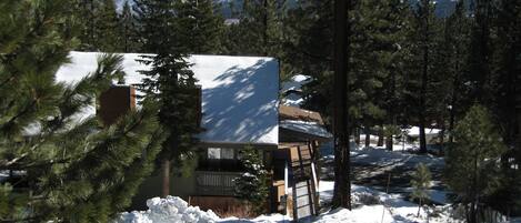 A cabin with a snow-covered roof, surrounded by pine trees and a mountain in the background.