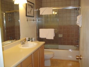Apartment, 1 Bedroom (+ Loft) | Bathroom | Combined shower/bathtub, free toiletries, hair dryer, towels