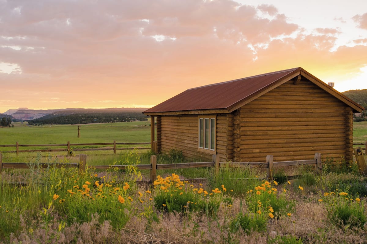 A wooden cabin with a metal roof, surrounded by a wooden fence and a field of yellow flowers.