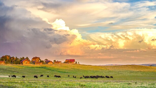 Paisaje rural con una manada de ganado pastando en un campo, una casa de campo y un cielo nublado.