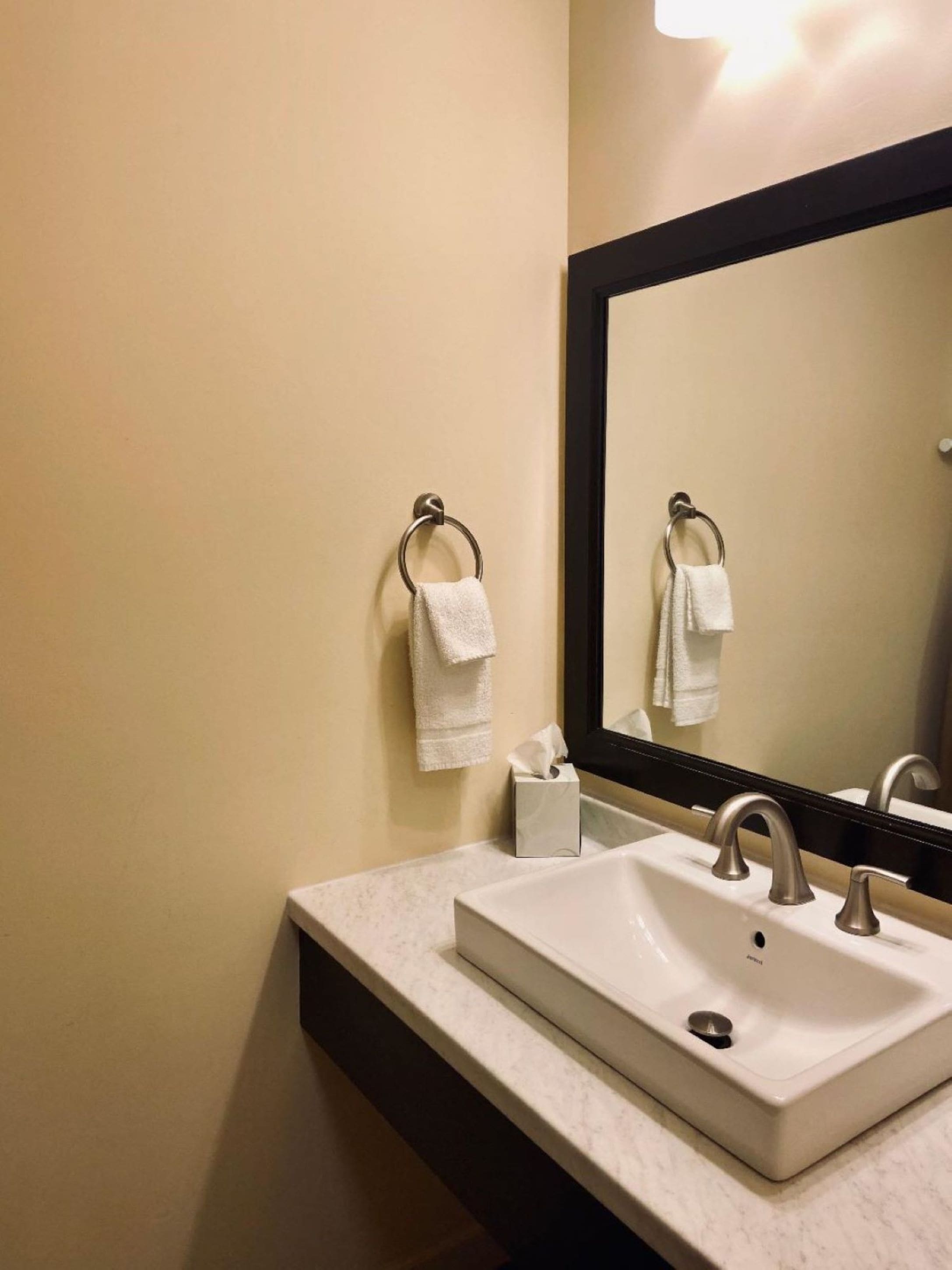 combined shower/bathtub, free toiletries, hair dryer, towels