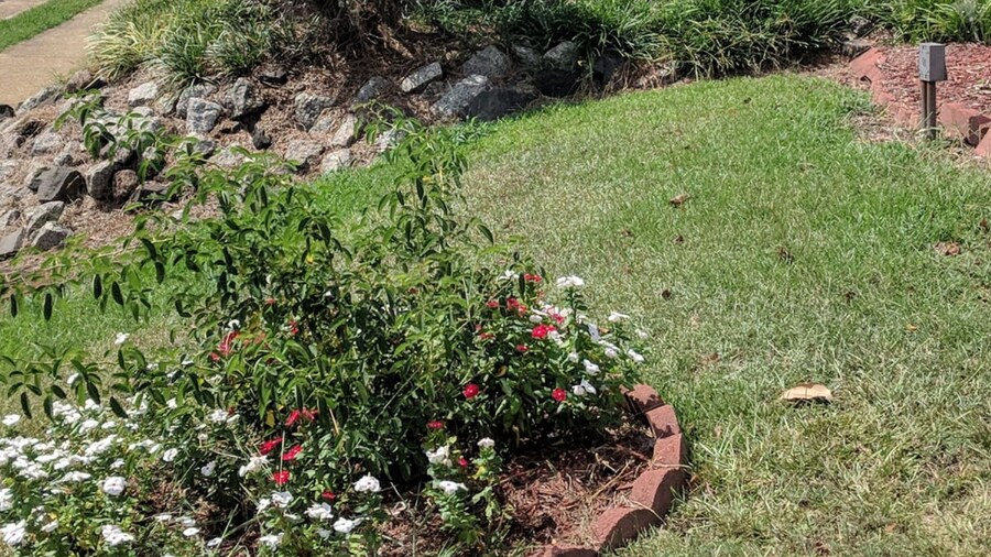 Loyalty Inn Rockingham