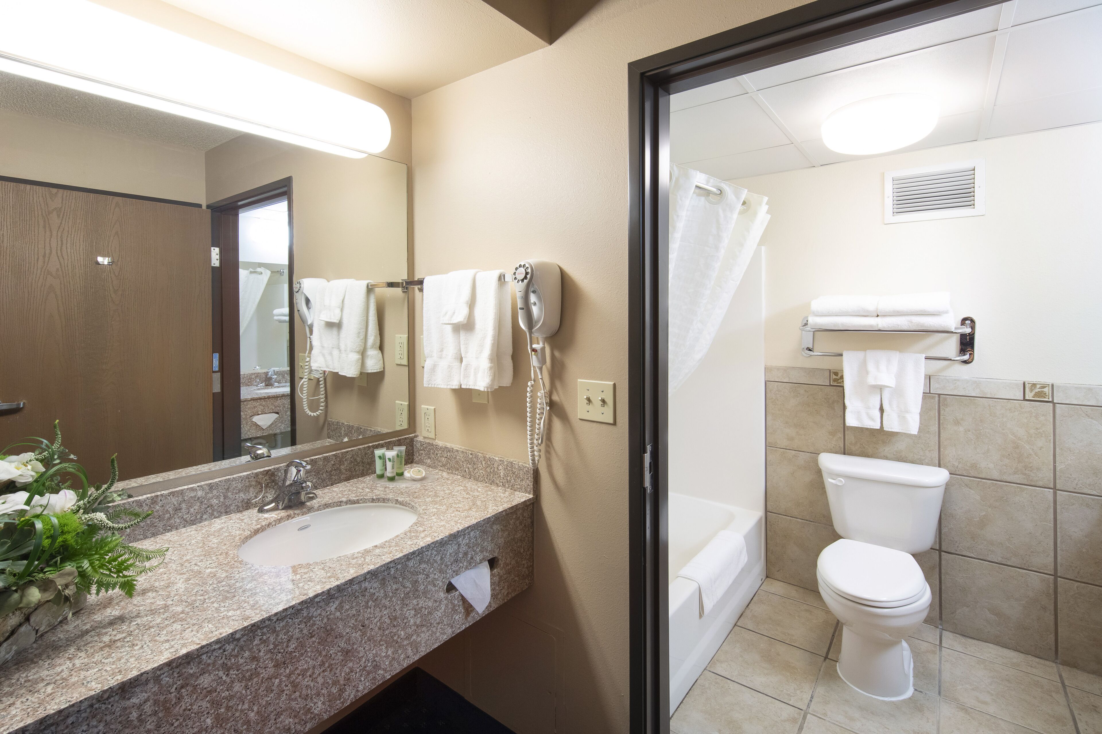 combined shower/bathtub, free toiletries, hair dryer, towels