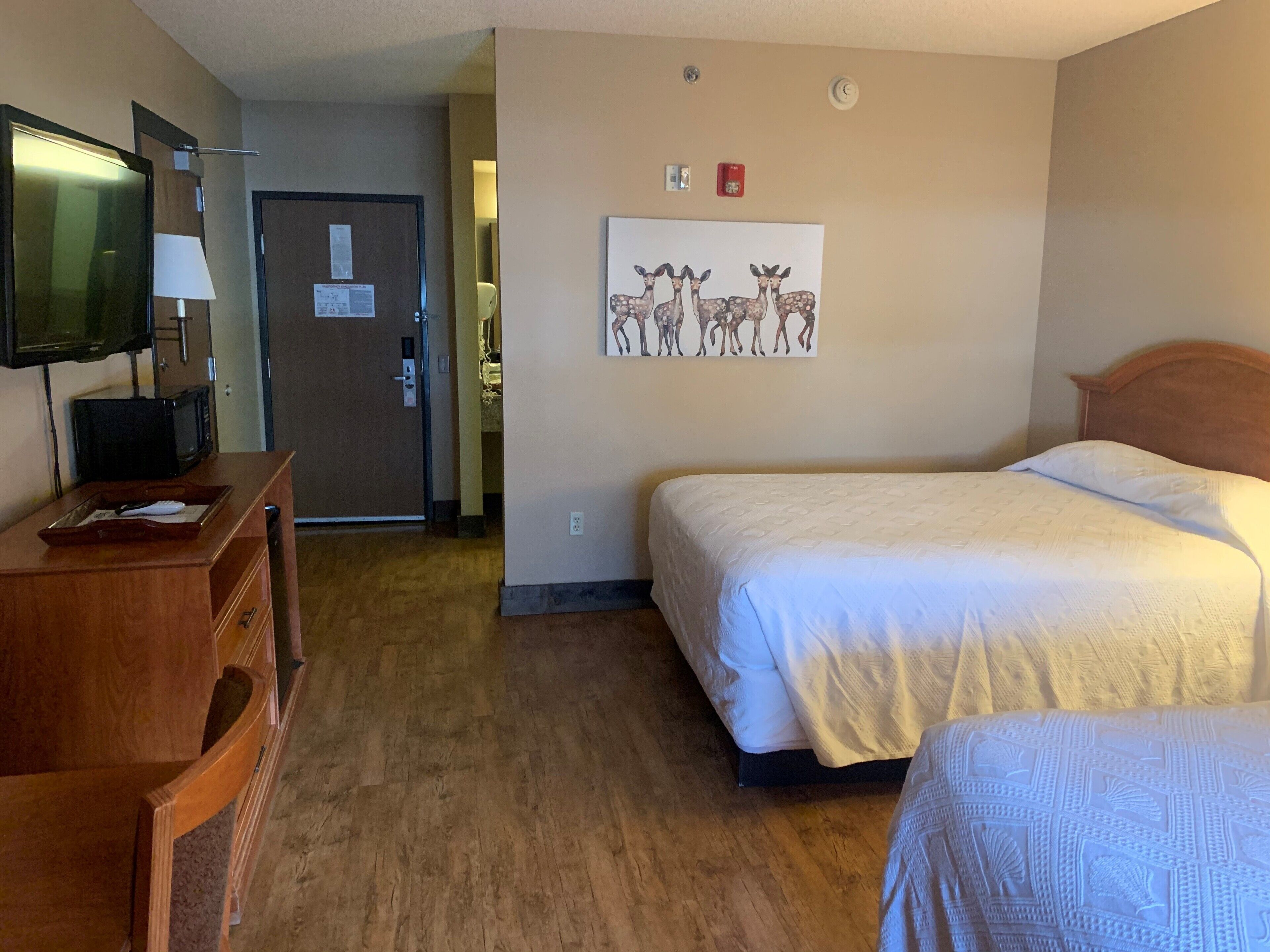 Hotel Glenwood Springs Reviews, Deals & Photos 2024 Expedia