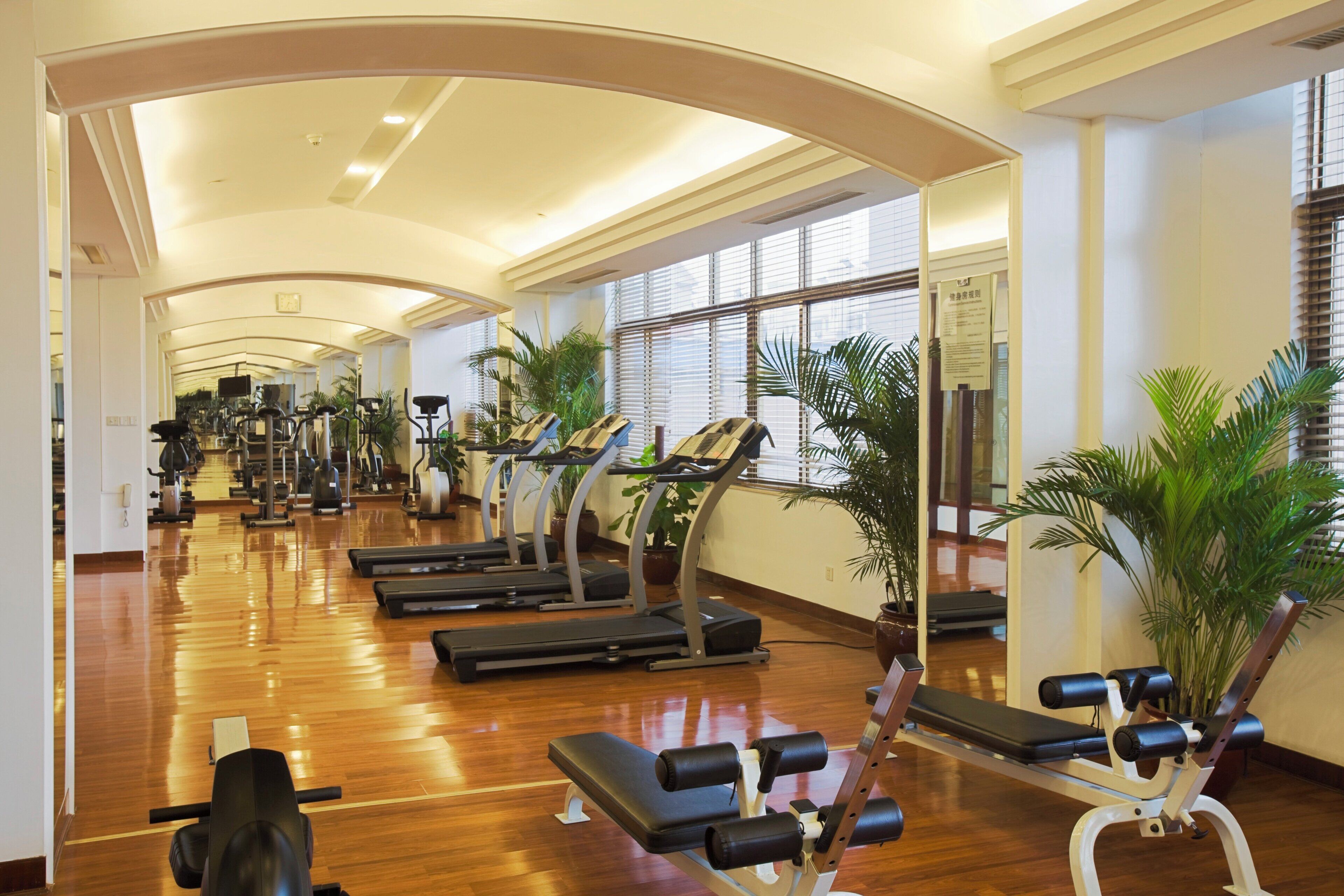 A gym with treadmills, stationary bikes, and weight machines.