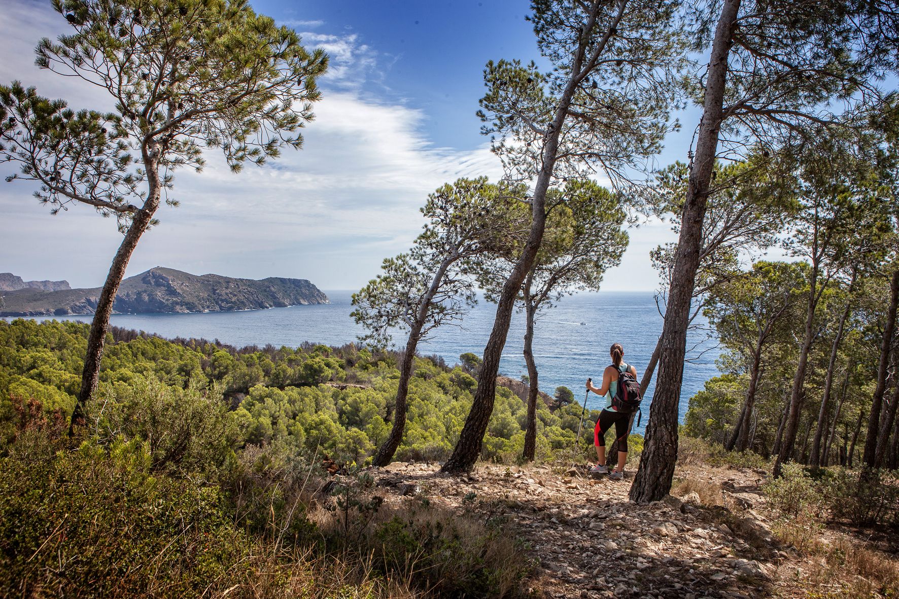 Foto - Almadraba Park Hotel
