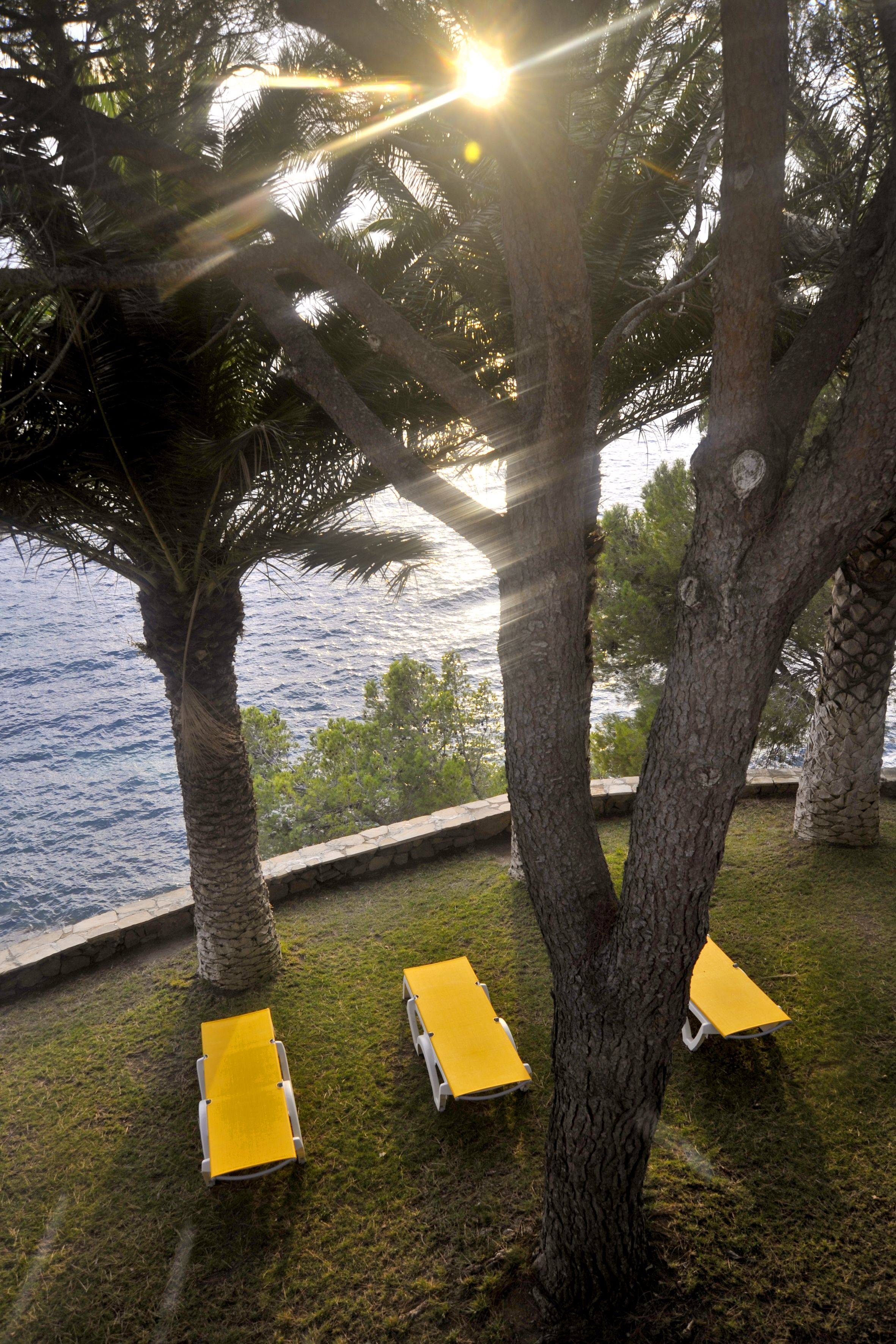 Foto - Almadraba Park Hotel