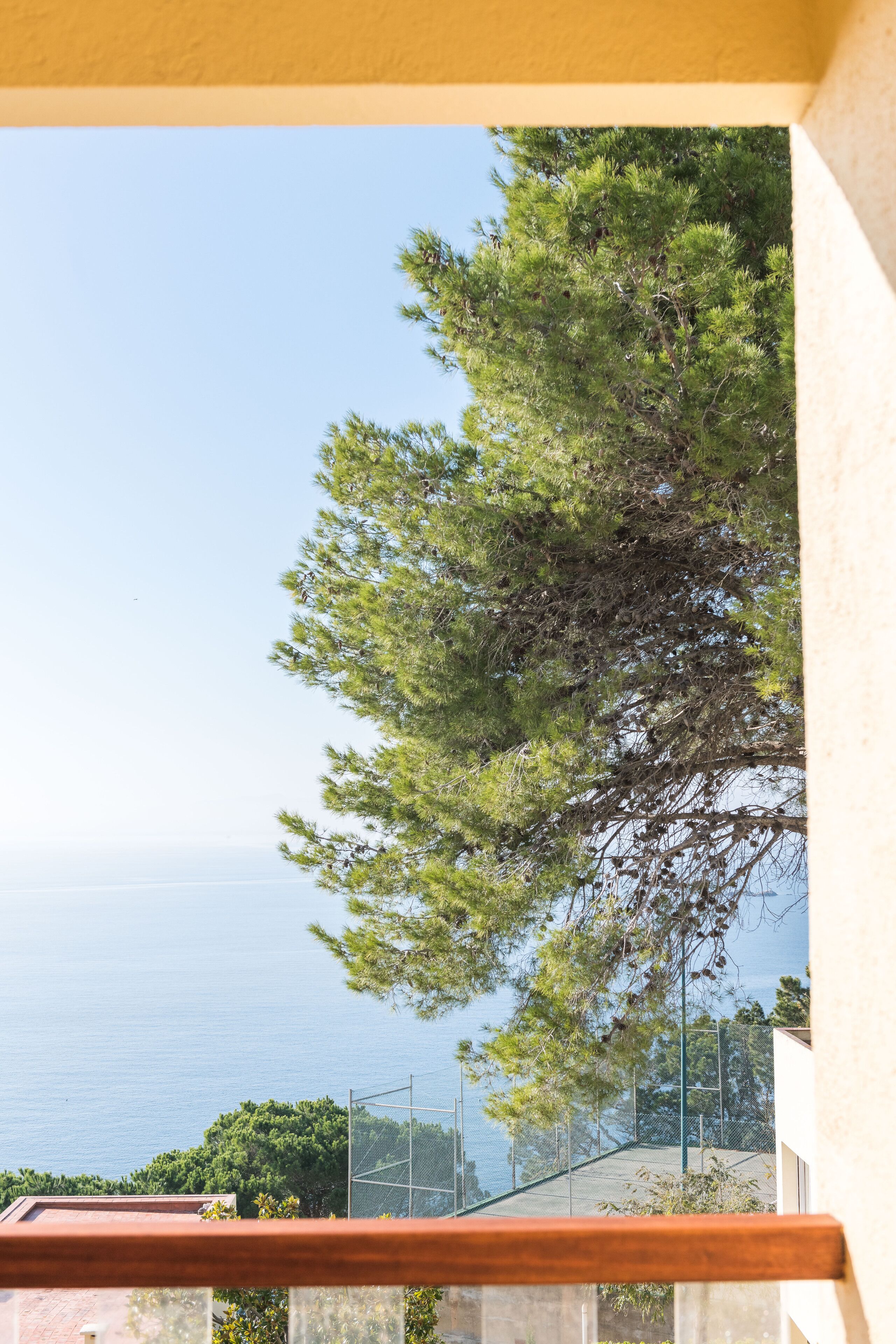 Ein Balkon mit Blick auf das Meer und einen Baum.